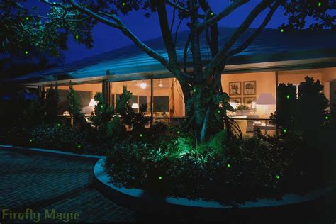 Amazon.com: Firefly Magic Solar LED Fairy, Lightning Bug Lights .